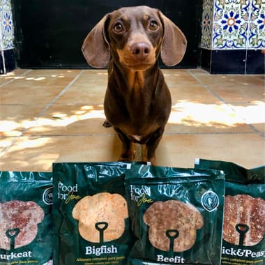 Nuestro Secreto 🤫 Mami me da la mejor alimentación, respetando mis gustos. Yo amo el pollo, el pollito 🐥 es mi perdición. @foodforjoe lo prepara con verduras y todo lo necesario para que tenga una dieta completa. Está riquísimo. Fácil, solo descongelar y servir (mami ahora me lo calienta un poquito).