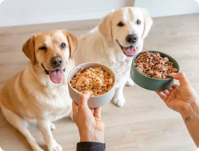 Canjea tus beneficios: